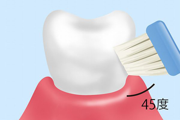 歯磨き（ブラッシング）指導